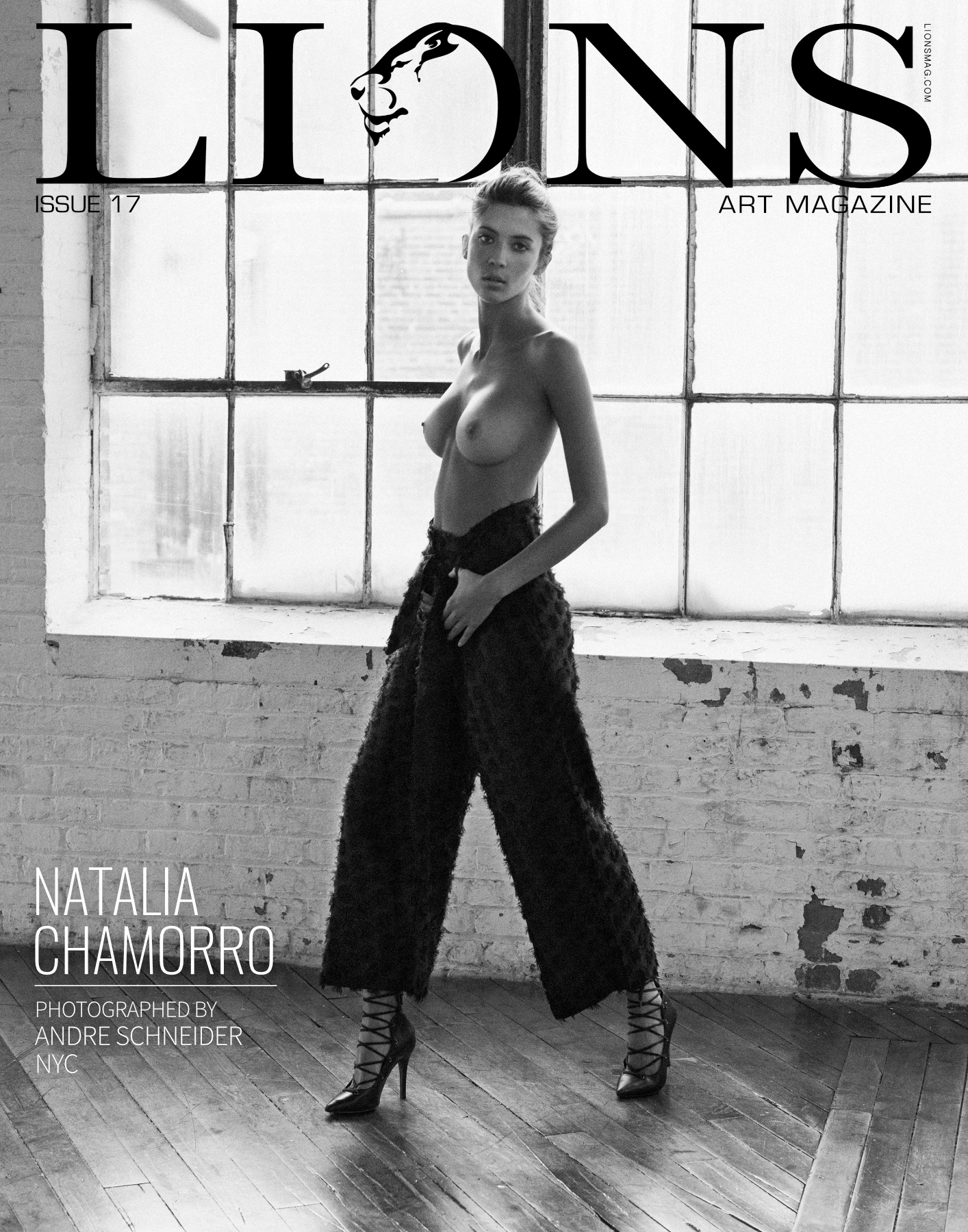LIONS Art Magazine Issue 17 cover